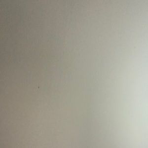 Meet your Posher, Bashar